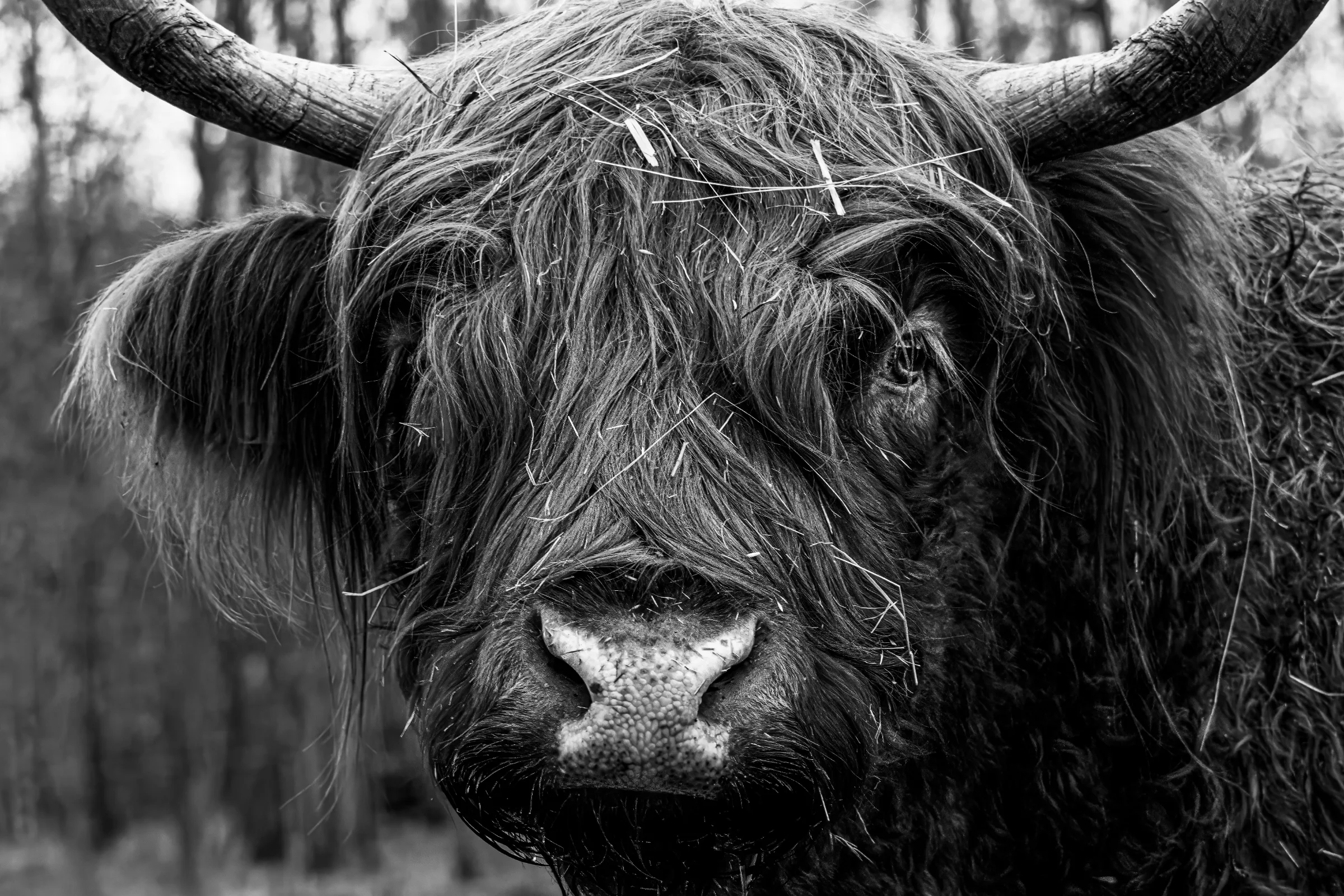 Et pour finir, un regard.
